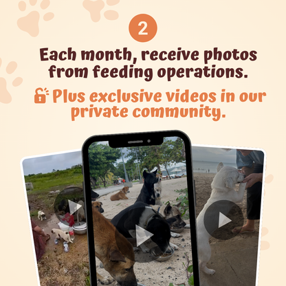 The Monthly Paws Club