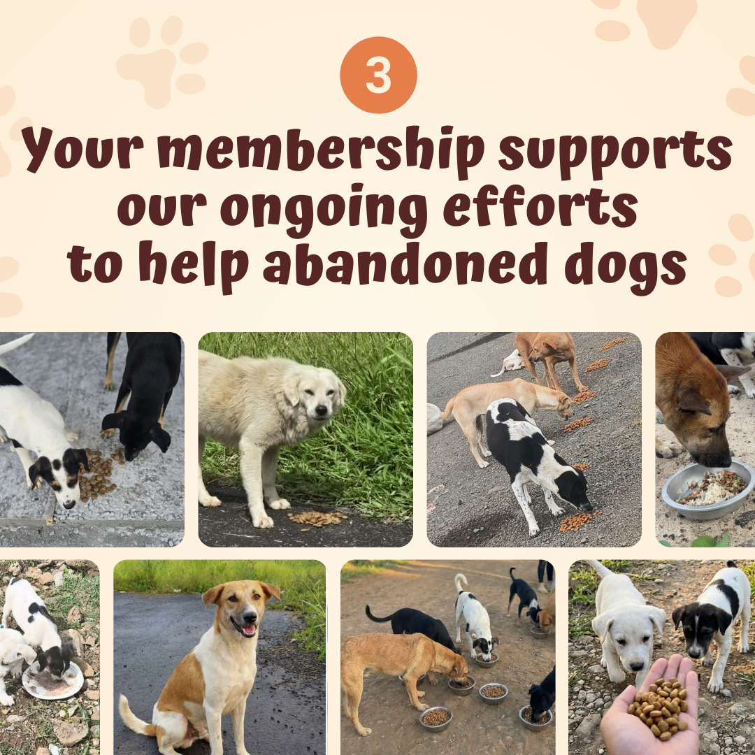 The Monthly Paws Club