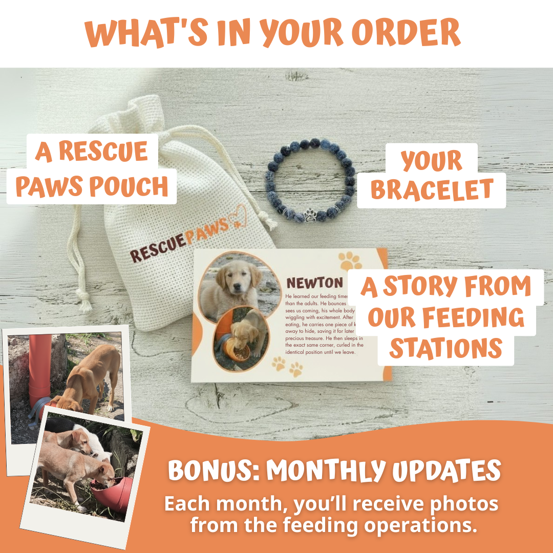 Ligora Bracelet