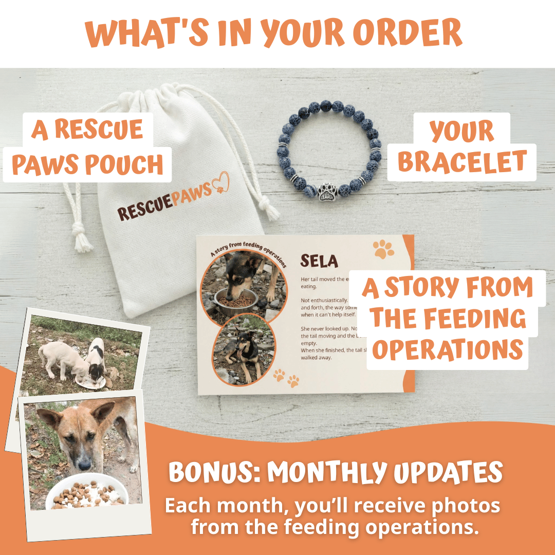 Bracelet Set (Love + Moonlight + Majestic)