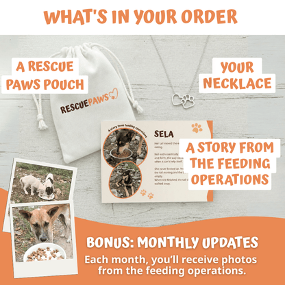 Gentle Paw Necklace